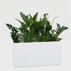 živá dekorace DE-06-B